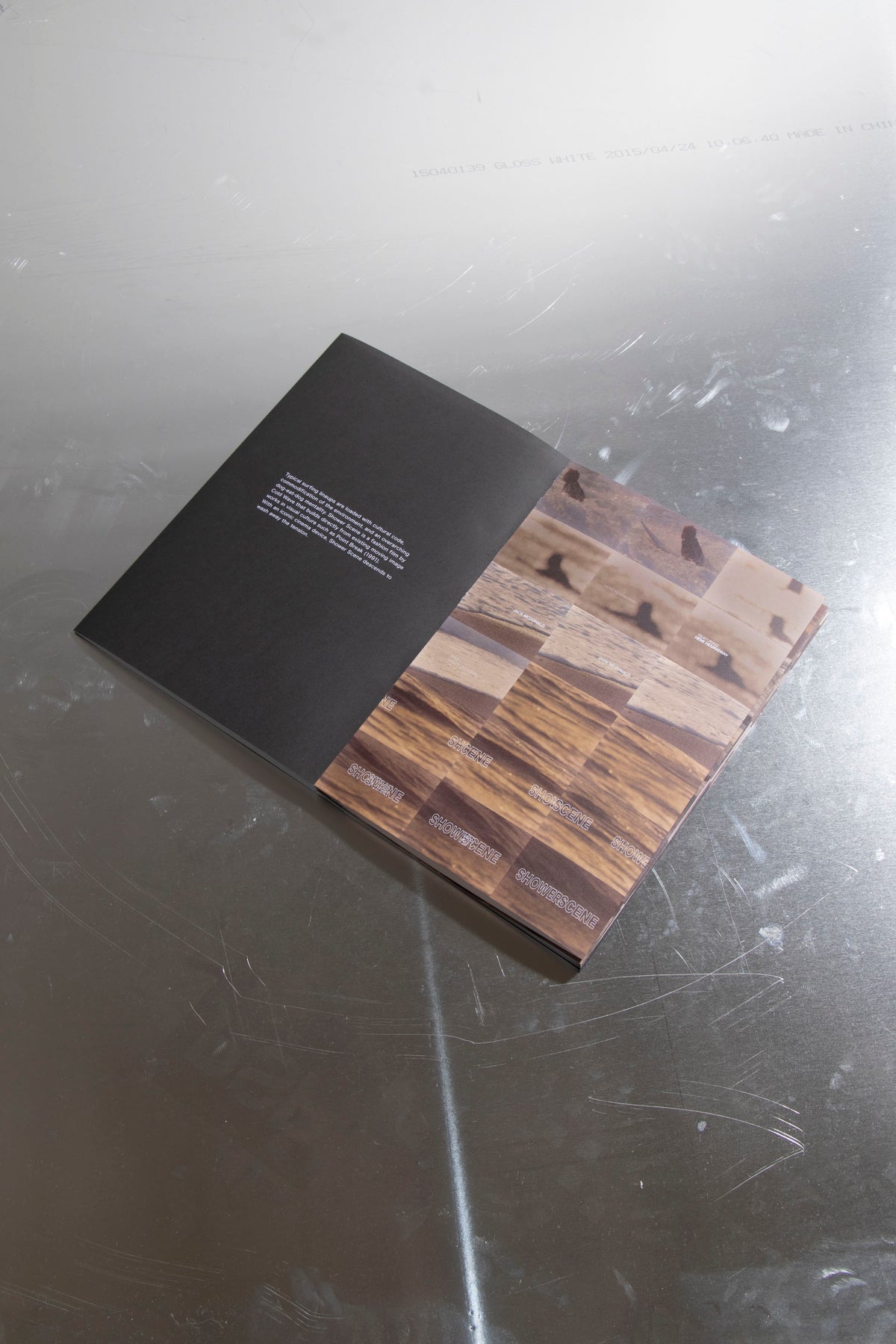 Shower Scene Book